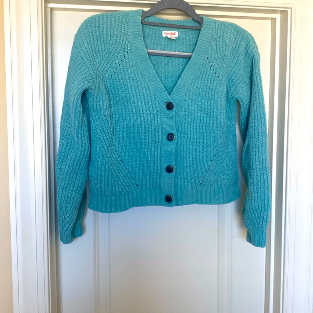 Cute sea foam green with metallic threads running through. Velour type fabric